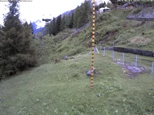 webcam  Malga Bissina (TN, 1800 m), webcam provincia di Trento