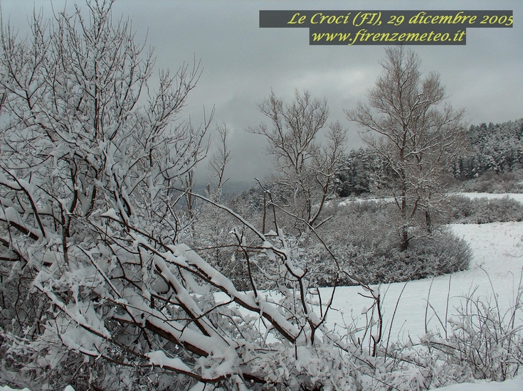 nevicata a Le Croci, comune di pontassieve, del 29 dicembre 2005