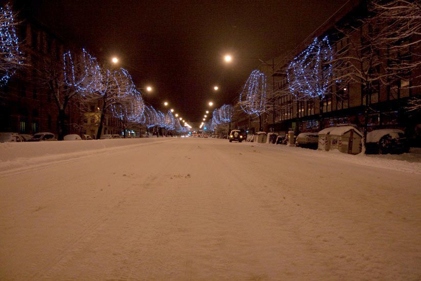 nevicata a firenze viale Spartaco Lavagnini del 17 dicembre 2010