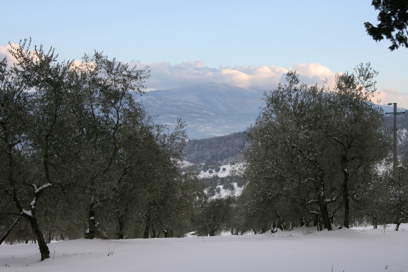 nevicata a firenze del 17 dicembre 2010, Monterifrassine, vista del Monte Secchieta