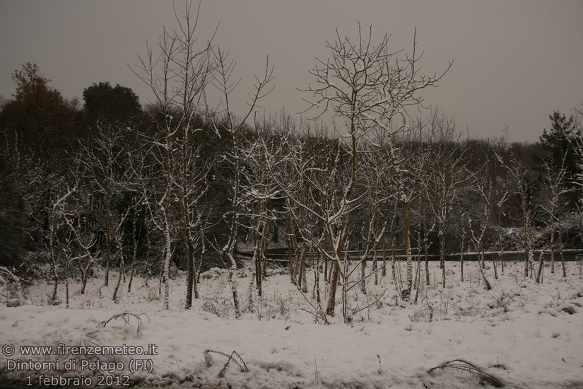 nevicata a Pelago del 1 febbraio 2012