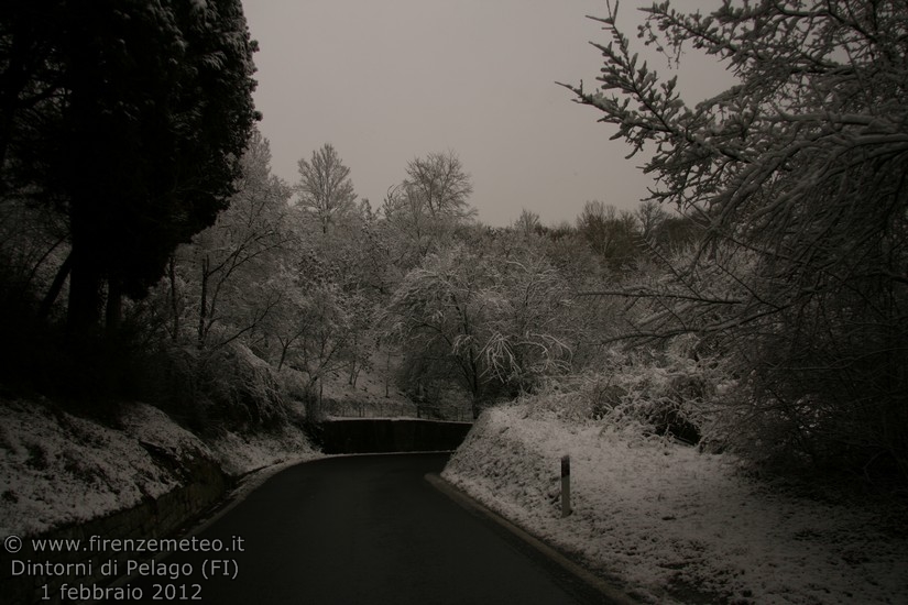 nevicata a Pelago del 1 febbraio 2012
