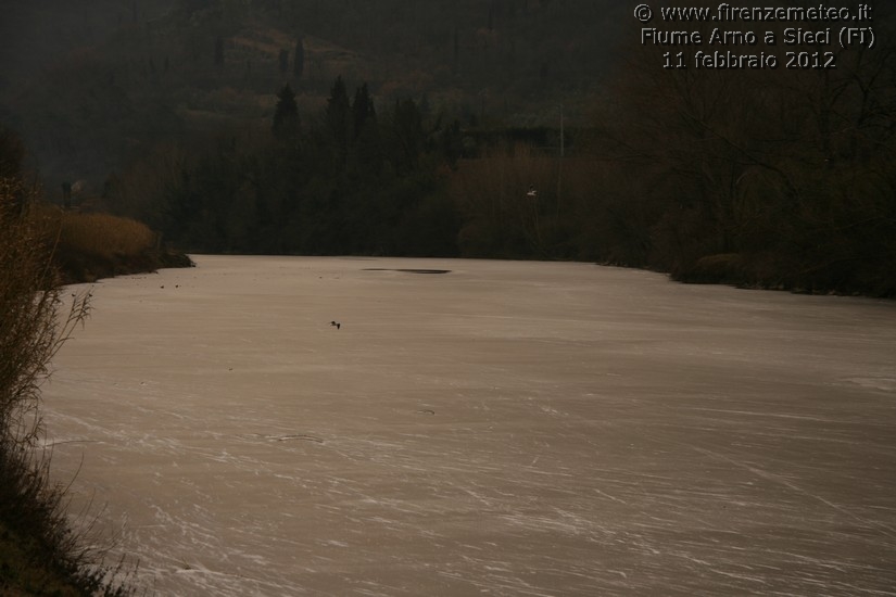 arno ghiacciato a sieci, 11 febbraio 2012