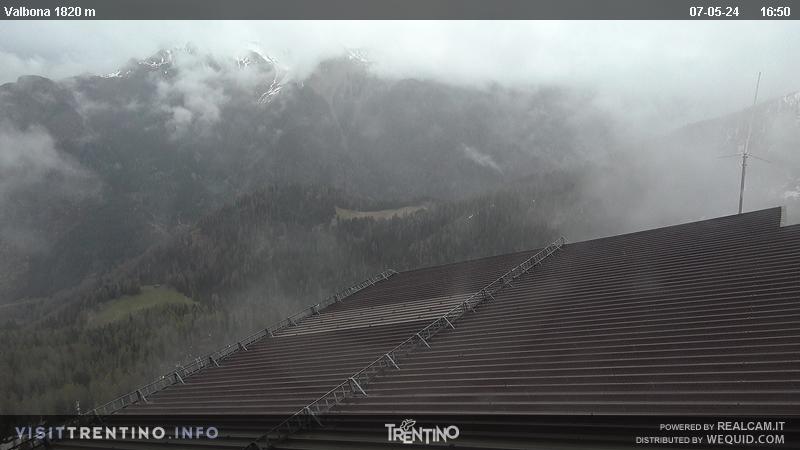 webcam  Alpe Lusia (TN, 1370-2340 m), webcam provincia di Trento, webcam Trentino-Alto Adige, Webcam Alpi - Trentino-Alto Adige
