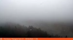 webcam  Favogna (1034 m), Magrè sulla Strada del Vino (BZ), webcam provincia di Bolzano