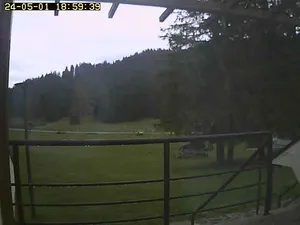 webcam  Malga Laghetto (1400 m), Lavarone (TN), webcam provincia di Trento