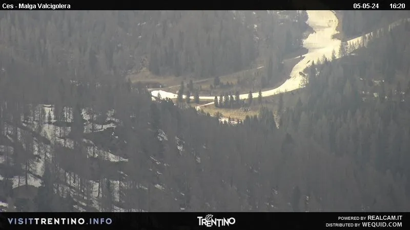 webcam San Martino di Castrozza, webcam provincia di Trento, webcam Malga Valcigolera,
                                            webcam Trentino-Alto Adige, webcam alpi