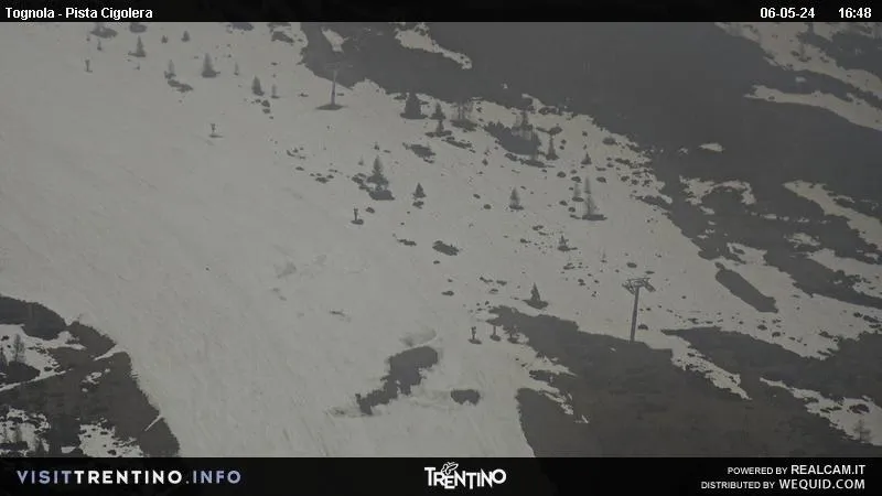 webcam San Martino di Castrozza, webcam provincia di Trento, webcam Pista Cigolera,
                                            webcam Trentino-Alto Adige, webcam alpi