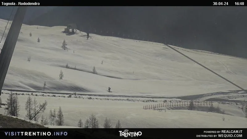 webcam San Martino di Castrozza, webcam provincia di Trento, webcam Tognola,
                                            webcam Trentino-Alto Adige, webcam alpi