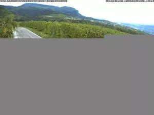 webcam  Sporminore (TN, 515 m), webcam provincia di Trento, webcam Trentino-Alto Adige, Webcam Alpi - Trentino-Alto Adige