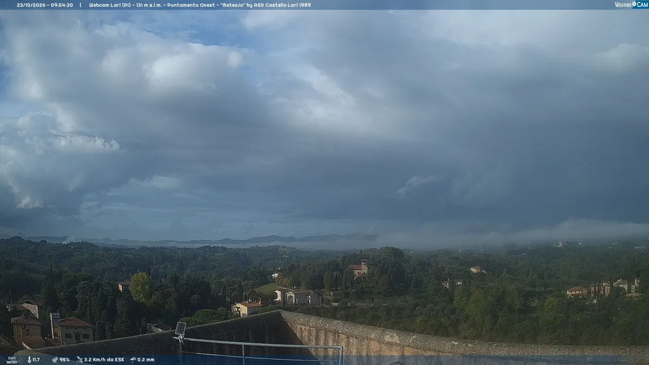 Webcam Lari